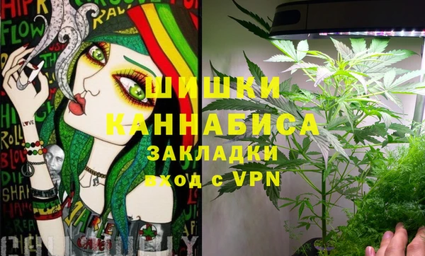 ПСИЛОЦИБИНОВЫЕ ГРИБЫ Зеленодольск