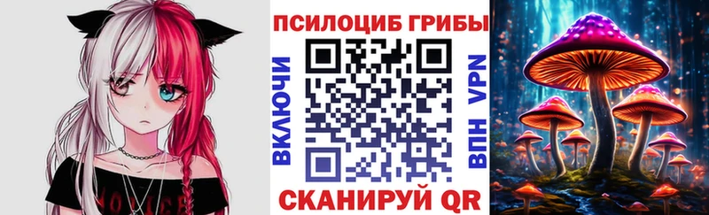 гидра онион  это состав  Каменск-Шахтинский  Галлюциногенные грибы Psilocybe  наркота 